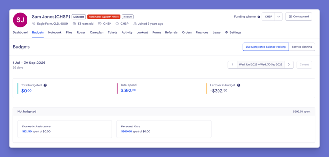 budgets chsp example
