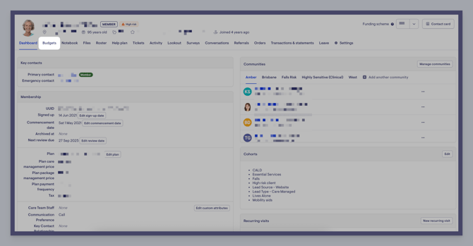 budgets tab on dashbaord