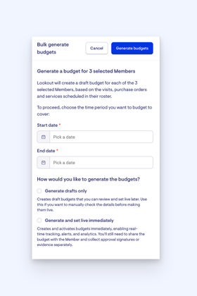 bulk generate budgets window